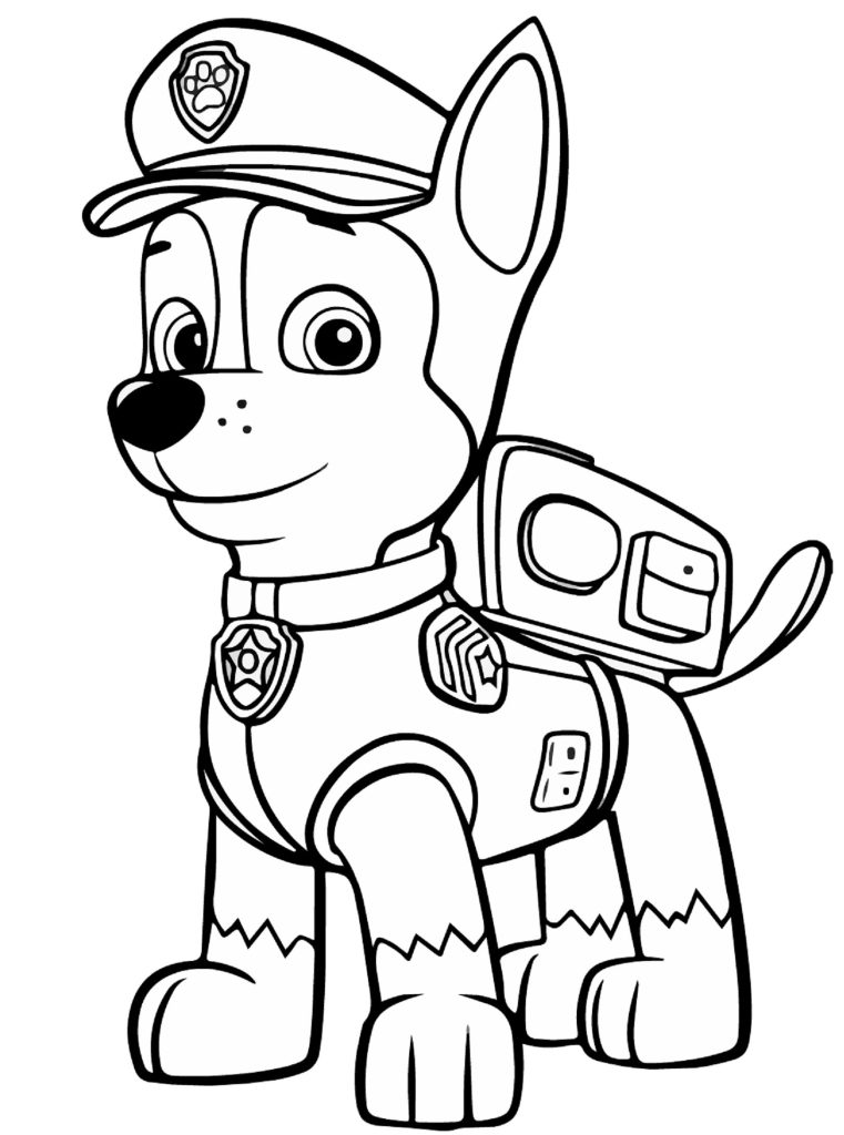 Paw Patrol Chase -