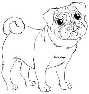 Dog And Cat Coloring Page (Free Printable)